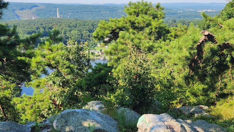 CT State Forest Red 3 Trail - Portland, CT