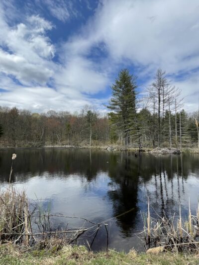 Portland Reservoir - Portland, CT
