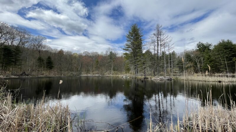Portland Reservoir - Portland, CT