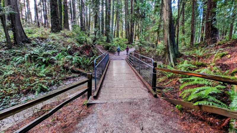 Gabriel Park - Portland, OR