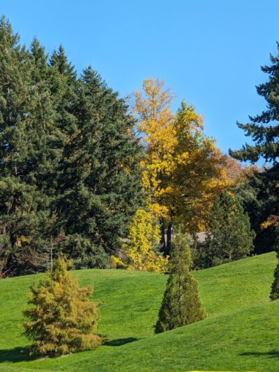 Gabriel Park - Portland, OR