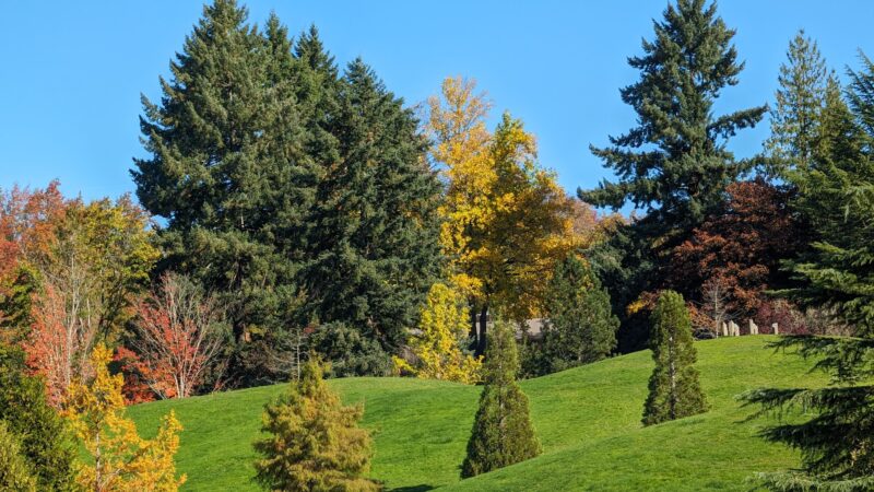 Gabriel Park - Portland, OR