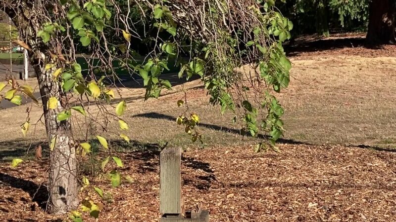 Kenilworth Park - Portland, OR