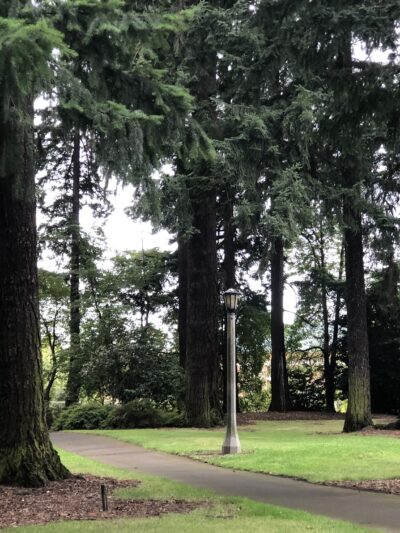 Kenilworth Park - Portland, OR
