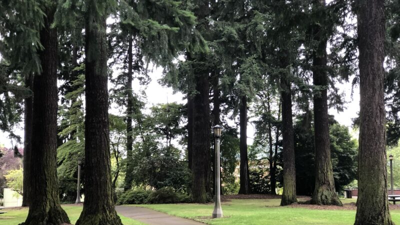 Kenilworth Park - Portland, OR