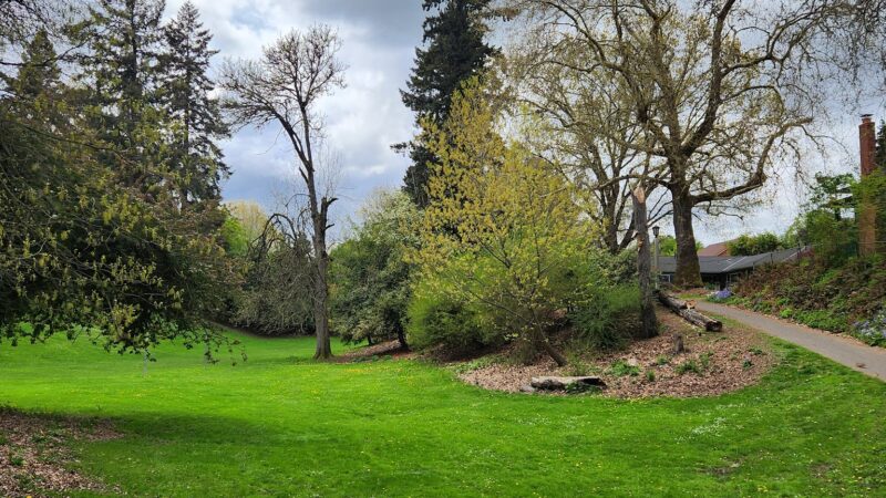 Kenilworth Park - Portland, OR