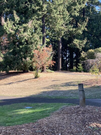 Kenilworth Park - Portland, OR