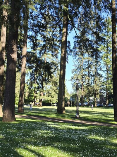 Mt. Scott Park - Portland, OR