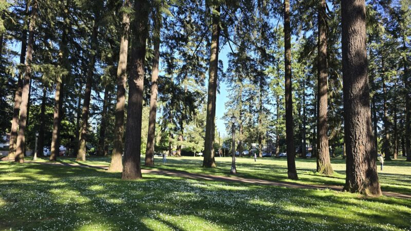 Mt. Scott Park - Portland, OR