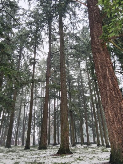 Mt. Scott Park - Portland, OR