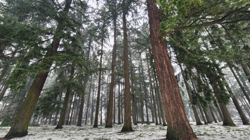 Mt. Scott Park - Portland, OR