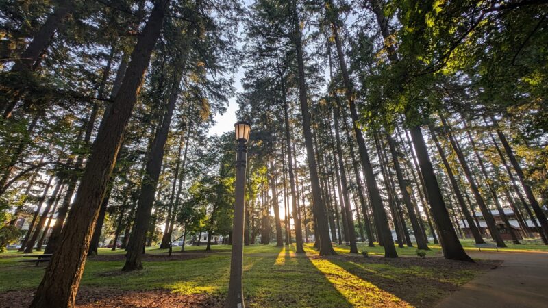 Mt. Scott Park - Portland, OR