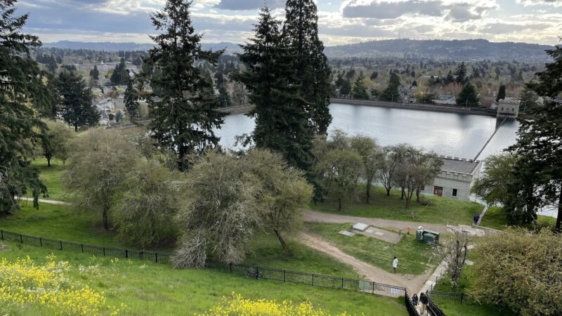 Mt. Tabor Park - Portland, OR