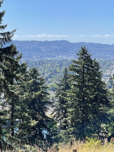 Mt. Tabor Park - Portland, OR