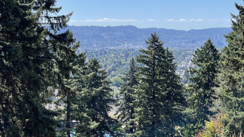 Mt. Tabor Park - Portland, OR