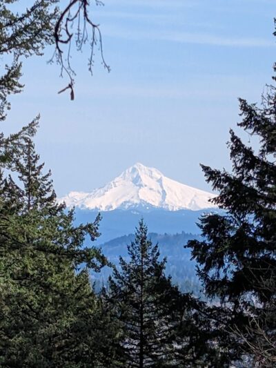 Mt. Tabor Park - Portland, OR
