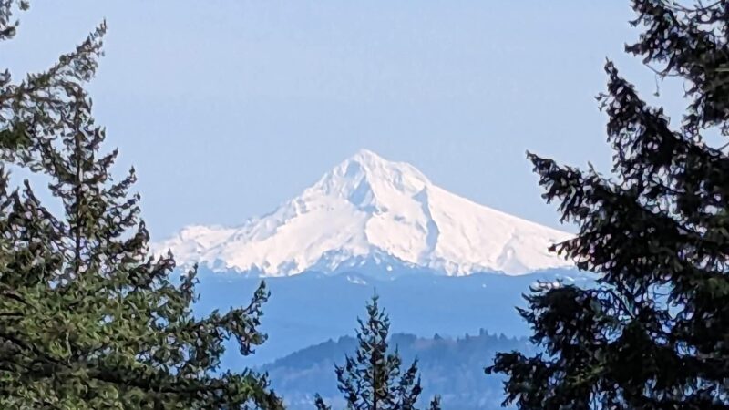 Mt. Tabor Park - Portland, OR