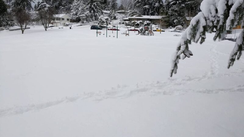 Roxbury Park - Portland, OR