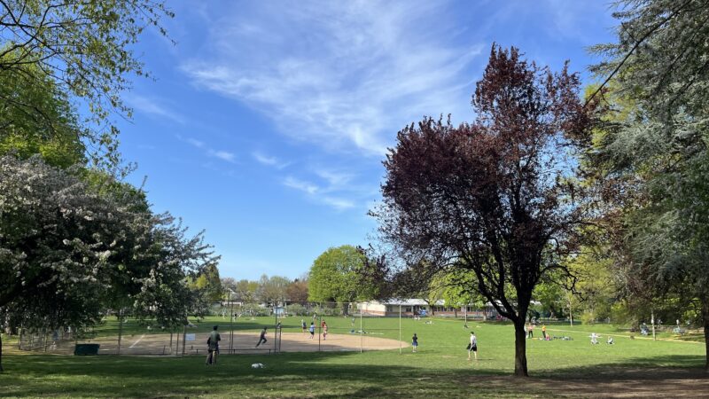 Sewallcrest Park - Portland, OR
