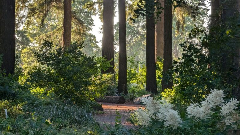 Alberta Park - Portland, OR