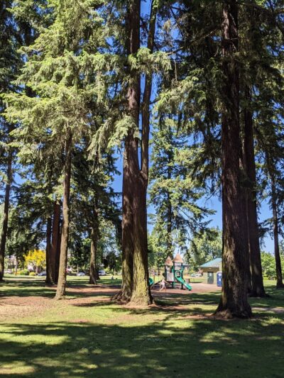 Alberta Park - Portland, OR