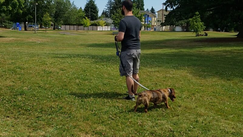 Brentwood City Park - Portland, OR