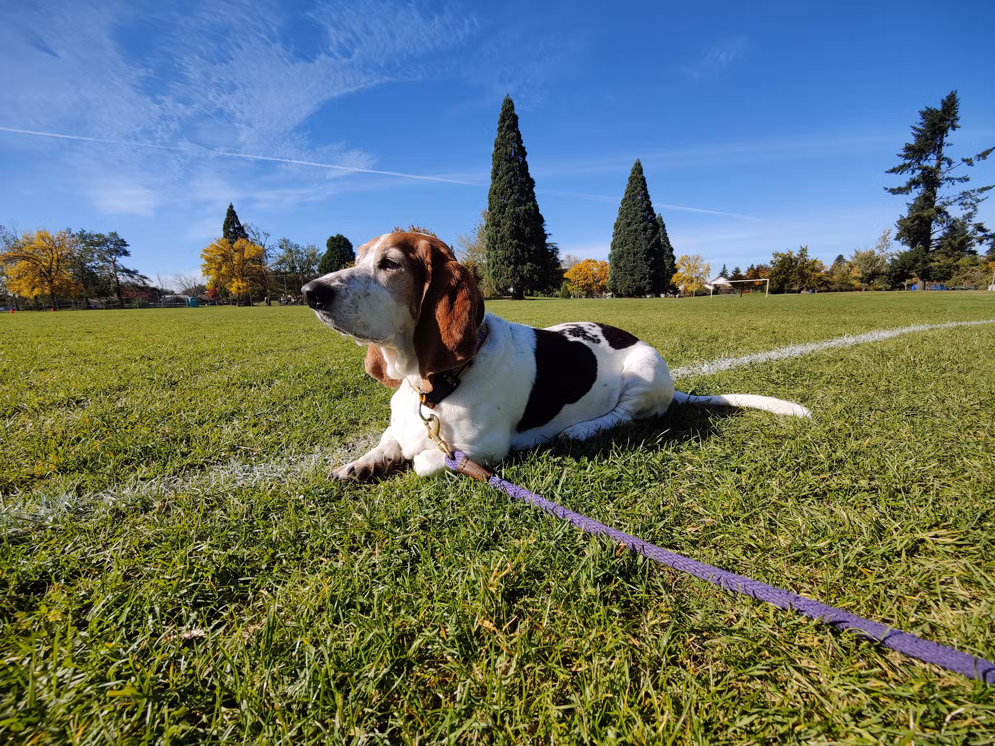 Brentwood City Park - Portland, OR