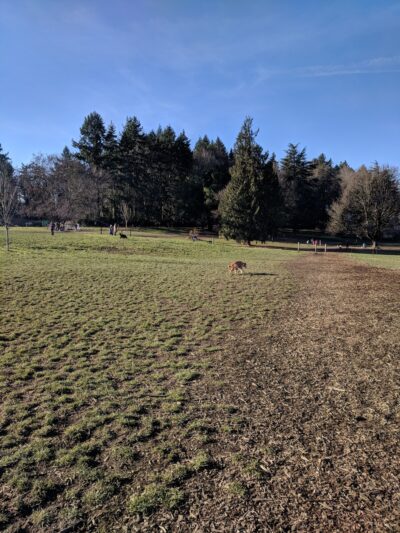 Chimney Park - Portland, OR