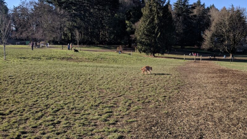 Chimney Park - Portland, OR