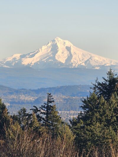 Council Crest Park - Portland, OR