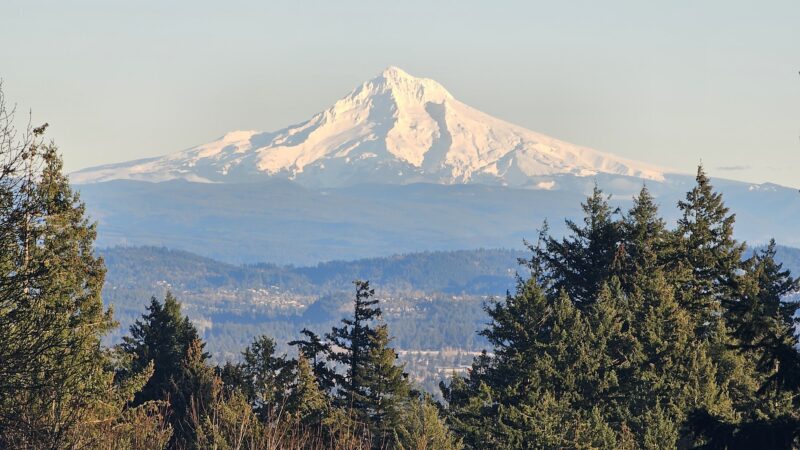 Council Crest Park - Portland, OR