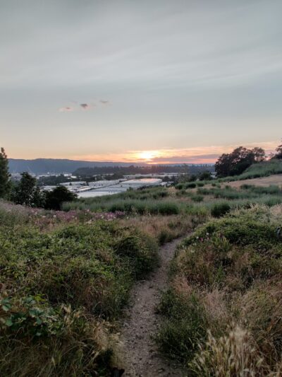 Dog Bowl - Portland, OR