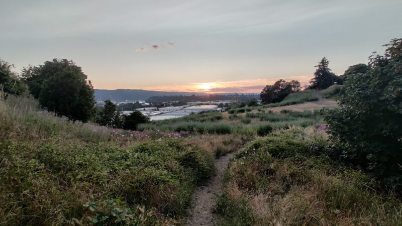 Dog Bowl - Portland, OR