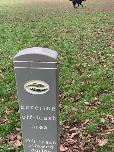 Dog Off-Leash Area - Portland, OR