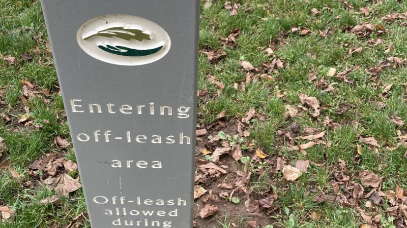 Dog Off-Leash Area - Portland, OR