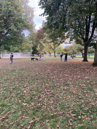Dog Off-Leash Area - Portland, OR