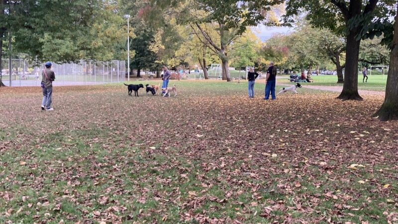 Dog Off-Leash Area - Portland, OR