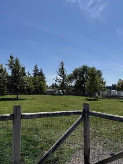 Fenced Off-Leash Dog Park - Portland, OR