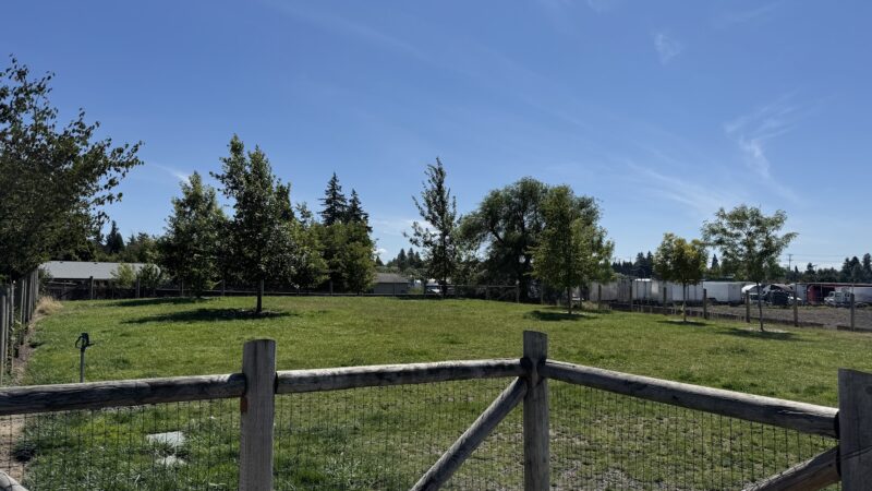 Fenced Off-Leash Dog Park - Portland, OR