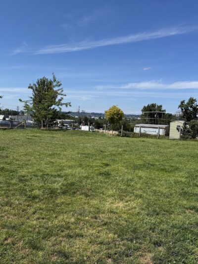 Fenced Off-Leash Dog Park - Portland, OR