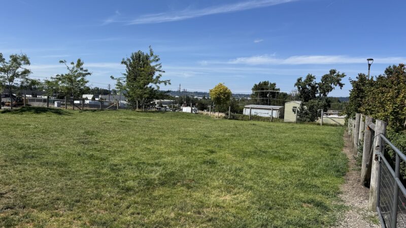 Fenced Off-Leash Dog Park - Portland, OR