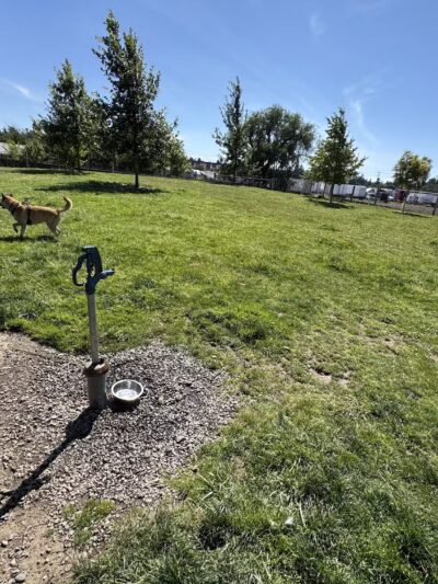 Fenced Off-Leash Dog Park - Portland, OR
