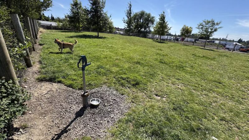 Fenced Off-Leash Dog Park - Portland, OR