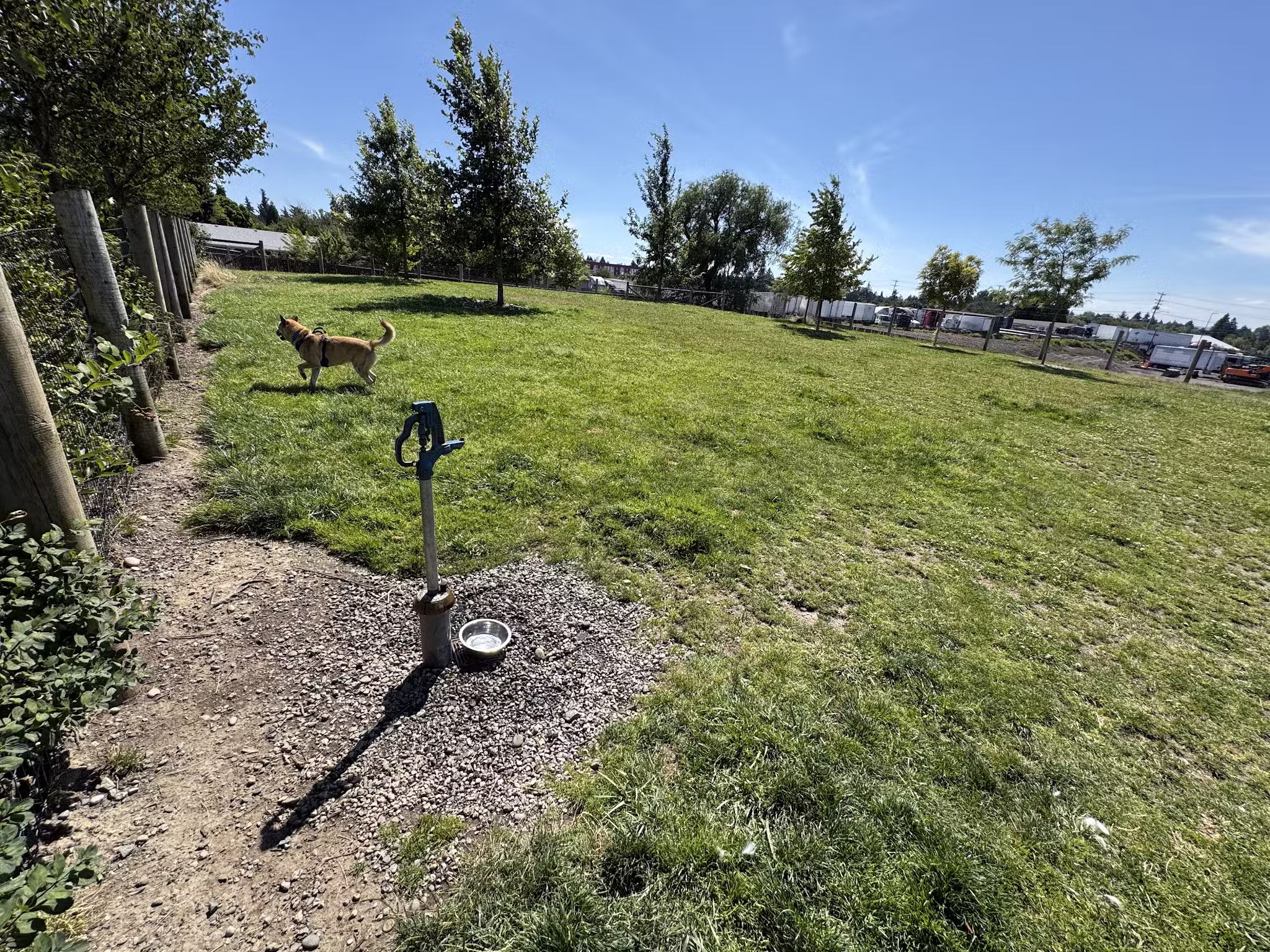 Fenced Off-Leash Dog Park - Portland, OR