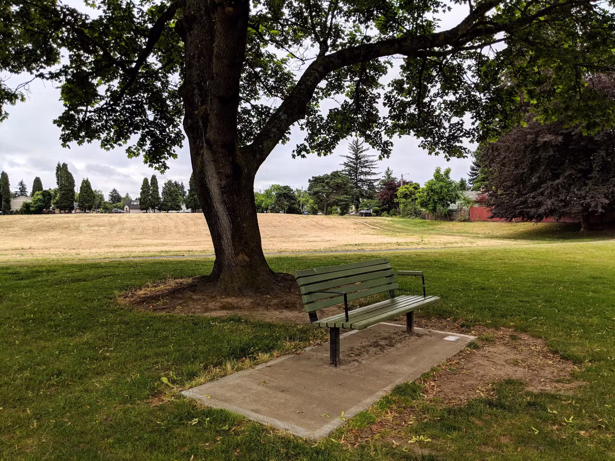 Fernhill Park - Portland, OR
