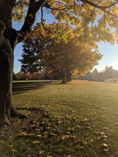 Fernhill Park - Portland, OR