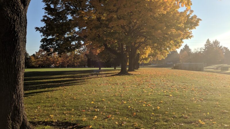 Fernhill Park - Portland, OR