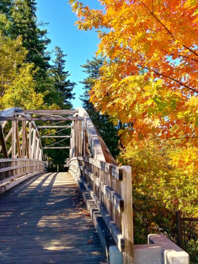 Foege Park - Portland, OR