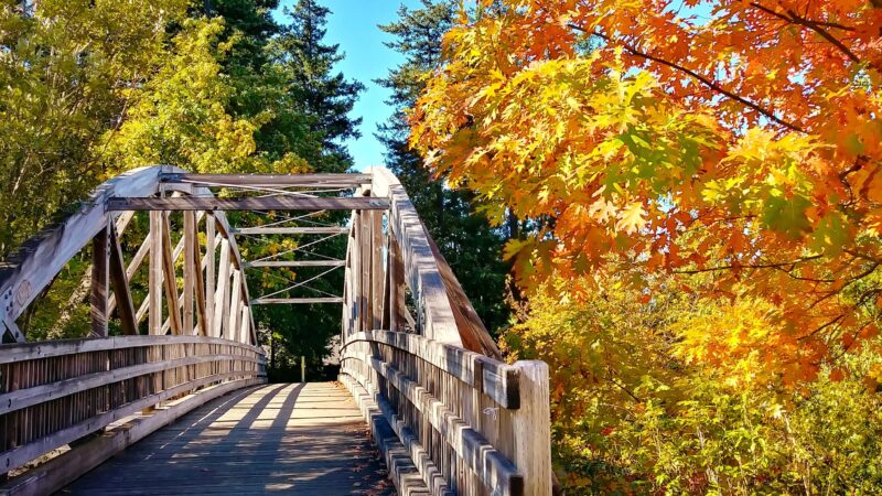 Foege Park - Portland, OR