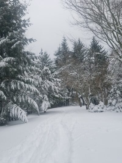 Foege Park - Portland, OR